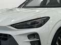 CUPRA Terramar 1.5 TSI e-Hybrid *AHK*HEAD-UP*NAVI* Weiß - thumbnail 7