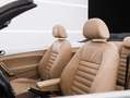 Volkswagen Beetle Cabrio 2.0TDI R-Line DSG 140 - thumbnail 12