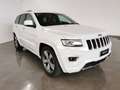 Jeep Grand Cherokee 3.0 crd V6 Overland s&s 250cv auto my16 Wit - thumbnail 4