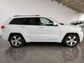 Jeep Grand Cherokee 3.0 crd V6 Overland s&s 250cv auto my16 Wit - thumbnail 5