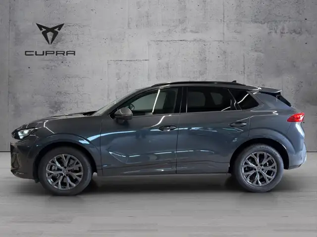 Cupra Terramar view 4