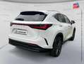 Lexus NX 450h+ 450h+ 292ch Executive 4WD MY26 Weiß - thumbnail 6