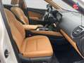 Lexus NX 450h+ 450h+ 292ch Executive 4WD MY26 Weiß - thumbnail 5