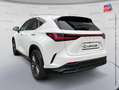 Lexus NX 450h+ 450h+ 292ch Executive 4WD MY26 Weiß - thumbnail 8