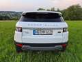 Land Rover Range Rover Evoque SD4 Weiß - thumbnail 7