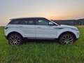 Land Rover Range Rover Evoque SD4 Weiß - thumbnail 2
