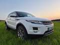 Land Rover Range Rover Evoque SD4 Weiß - thumbnail 1