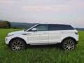 Land Rover Range Rover Evoque SD4 Weiß - thumbnail 5