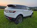 Land Rover Range Rover Evoque SD4 Weiß - thumbnail 8