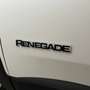 Jeep Renegade 1.0 T3 Limited Bianco - thumbnail 28