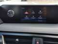 Lexus UX 250h Business 2WD Gris - thumbnail 17