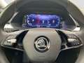 Skoda Superb Combi 2.0 TDI DSG Ambition Navi Kamera Argento - thumbnail 9