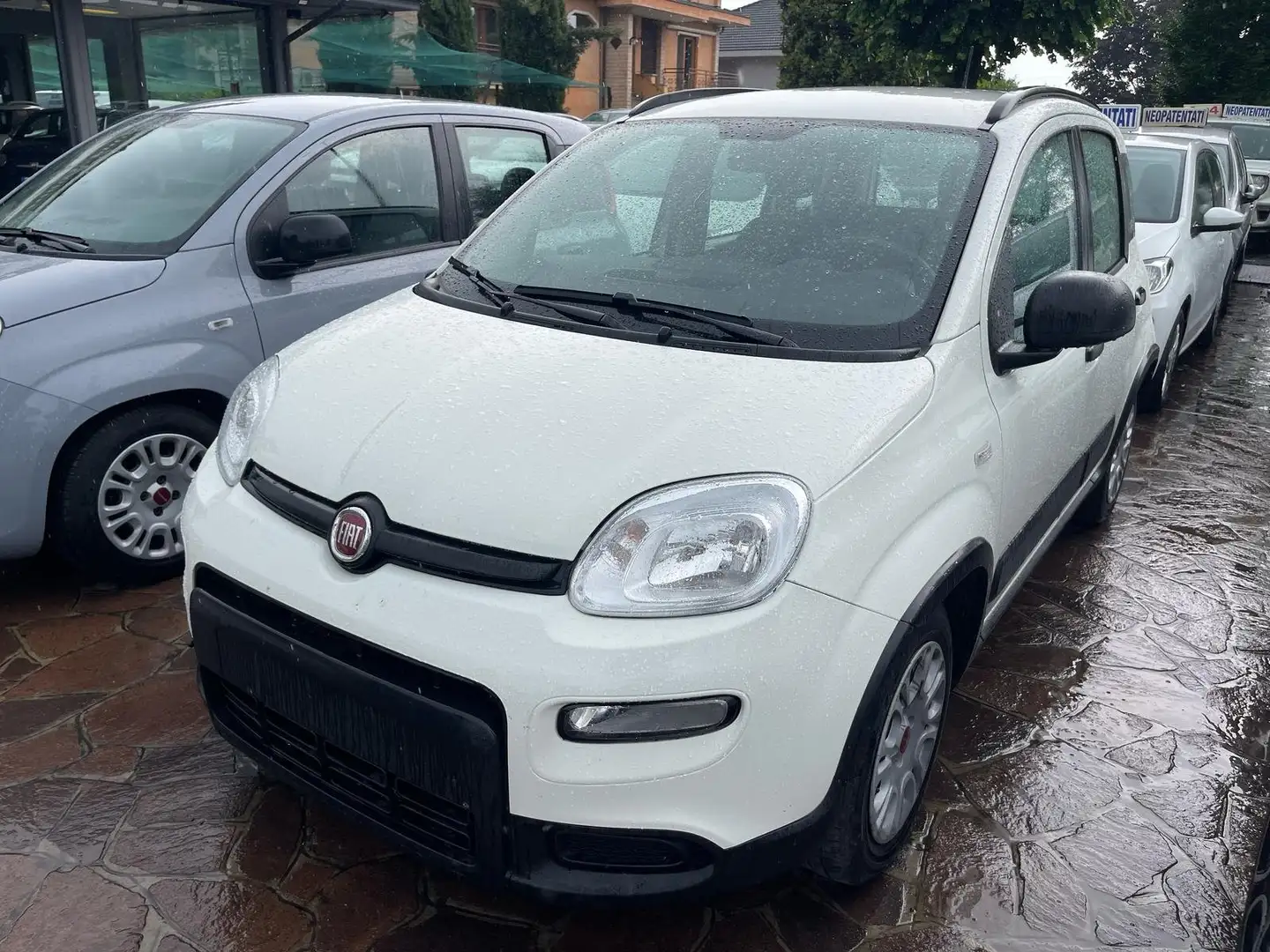 Fiat Panda Panda 1.0  hybrid PREZZO PROMO FINANZIAMENTO Bianco - 1