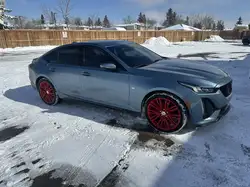 2023 Cadillac CT5