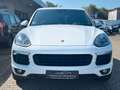 Porsche Cayenne Diesel Platinum Edition Vollaustattung Weiß - thumbnail 2