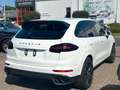 Porsche Cayenne Diesel Platinum Edition Vollaustattung Weiß - thumbnail 4