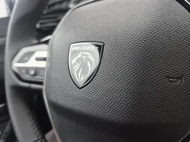 Peugeot 308 view 12