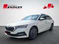 Skoda Octavia Combi Clever 1.5 TSI AHK-klappbar Navi Digitales C Weiß - thumbnail 3