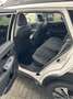 Subaru OUTBACK 2.5i PLATINUM-LEDER-8J.GARANTIE-SOFORT VERFÜGB Wit - thumbnail 8