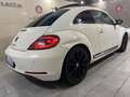 Volkswagen New Beetle New Beetle 1.9 tdi 105cv Wit - thumbnail 13