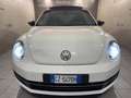 Volkswagen New Beetle New Beetle 1.9 tdi 105cv Wit - thumbnail 1