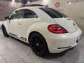 Volkswagen New Beetle New Beetle 1.9 tdi 105cv Wit - thumbnail 10