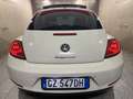 Volkswagen New Beetle New Beetle 1.9 tdi 105cv Wit - thumbnail 12