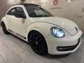 Volkswagen New Beetle New Beetle 1.9 tdi 105cv Wit - thumbnail 4