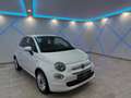 Fiat 500 500 1,2 Fire 70 Lounge*TEMPOMAT*PDC*1.BESITZ* Weiß - thumbnail 1