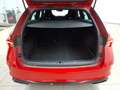 Skoda Octavia Combi 2.0 TDI DSG RS AHK NAV Rojo - thumbnail 9