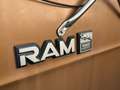 Dodge RAM Ram Van 250 Custom * Survivor im Erstlack * - thumbnail 20