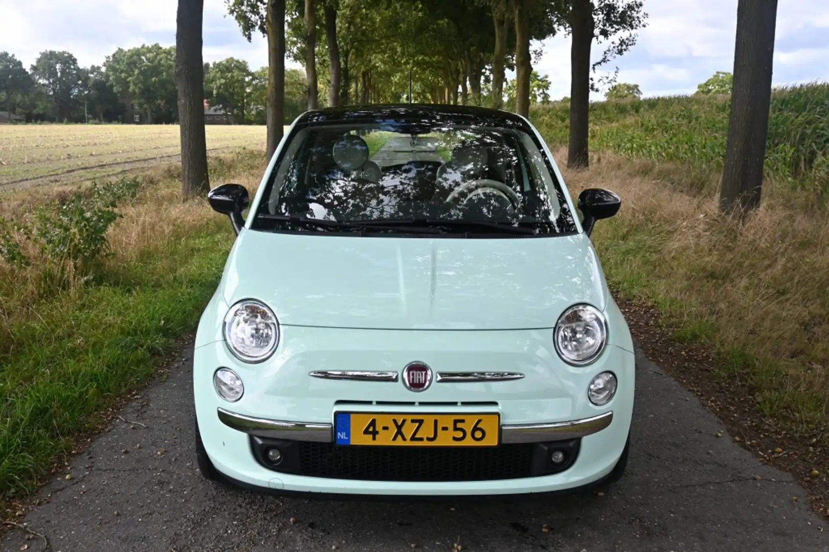 Fiat 500 0.9 TwinAir T Cult *Uniek | Panorama | P.sensor | Verde - 2