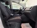 SEAT Alhambra 2.0 TDI Executive*7 SITZE*AHK*R-KAMERA* Weiß - thumbnail 21