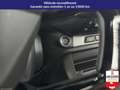 Fiat Scudo III XL 2.0 BlueHDi 180ch EAT8 Gri - thumbnail 15