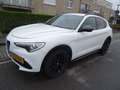 Alfa Romeo Stelvio Q4 2.0 Turbo 16V Lusso Blanc - thumbnail 1