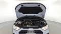 Audi A1 Citycarver 30 1.0 tfsi 110cv Grau - thumbnail 11