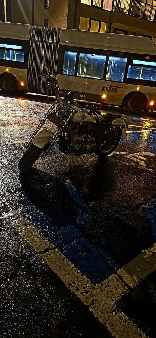 Harley-Davidson Iron 883 Bílá - 1