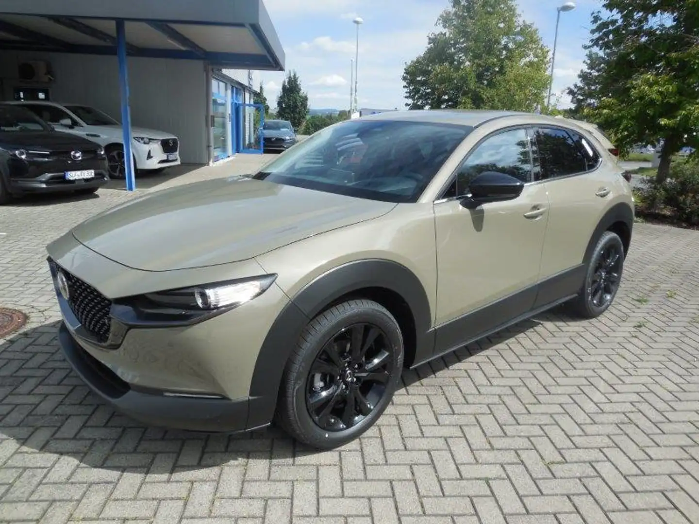 Mazda CX-30 2.0 e-SKYACTIV-G 150PS NAGISA mit BOSE Sound, Sitz Grau - 1