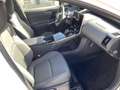 Toyota bZ4X Basis 2WD Comfortpaket Weiß - thumbnail 11