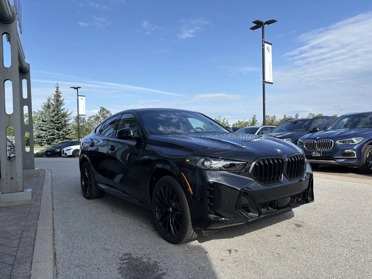 BMW X6 photo BMW X6