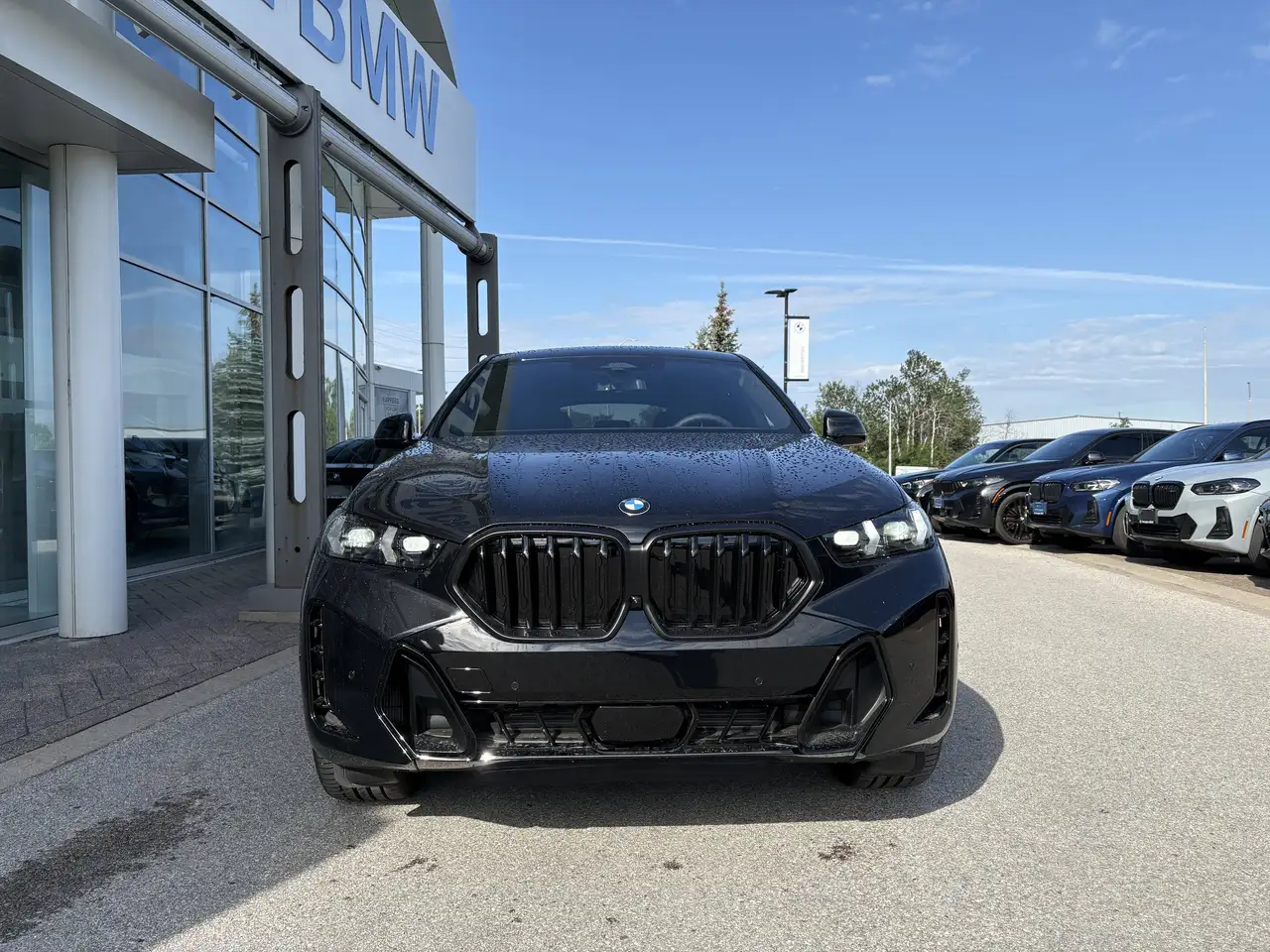 BMW X6 photo BMW X6