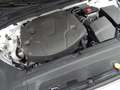 Volvo V90 Cross Country D4 Ocean Race AWD Aut. Bianco - thumbnail 21