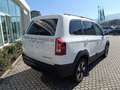 SWM G03F G03F Super Hybrid 1.5 phev Bianco - thumbnail 11