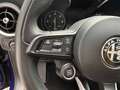 Alfa Romeo Stelvio Super Business Q4 TELECAMERA POST. IVA ESPOSTA Blu/Azzurro - thumbnail 14