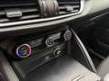 Alfa Romeo Stelvio Super Business Q4 TELECAMERA POST. IVA ESPOSTA Blu/Azzurro - thumbnail 18