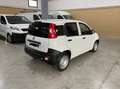 Fiat Panda 1.3 80cv Van 2 Posti Blanco - thumbnail 4