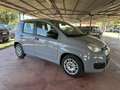 Fiat Panda 1.0fireflyhybridCityLife70cv5p.tiivaes Grigio - thumbnail 1