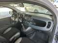Fiat Panda 1.0fireflyhybridCityLife70cv5p.tiivaes Grigio - thumbnail 6