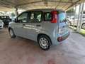 Fiat Panda 1.0fireflyhybridCityLife70cv5p.tiivaes Grigio - thumbnail 14
