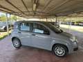 Fiat Panda 1.0fireflyhybridCityLife70cv5p.tiivaes Grigio - thumbnail 9